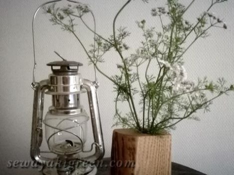 パクチーの花